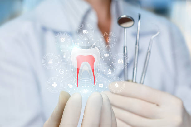 Best Root Canal Treatment  in Needville, TX